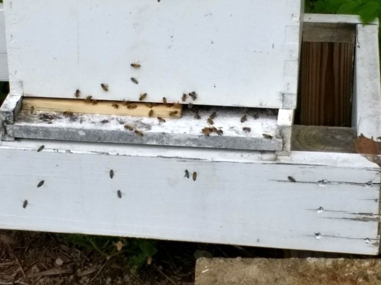 img_20180526_173626715_hdr