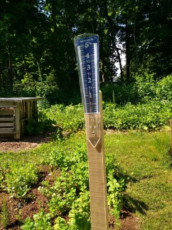 img_20180619_095133352_hdr