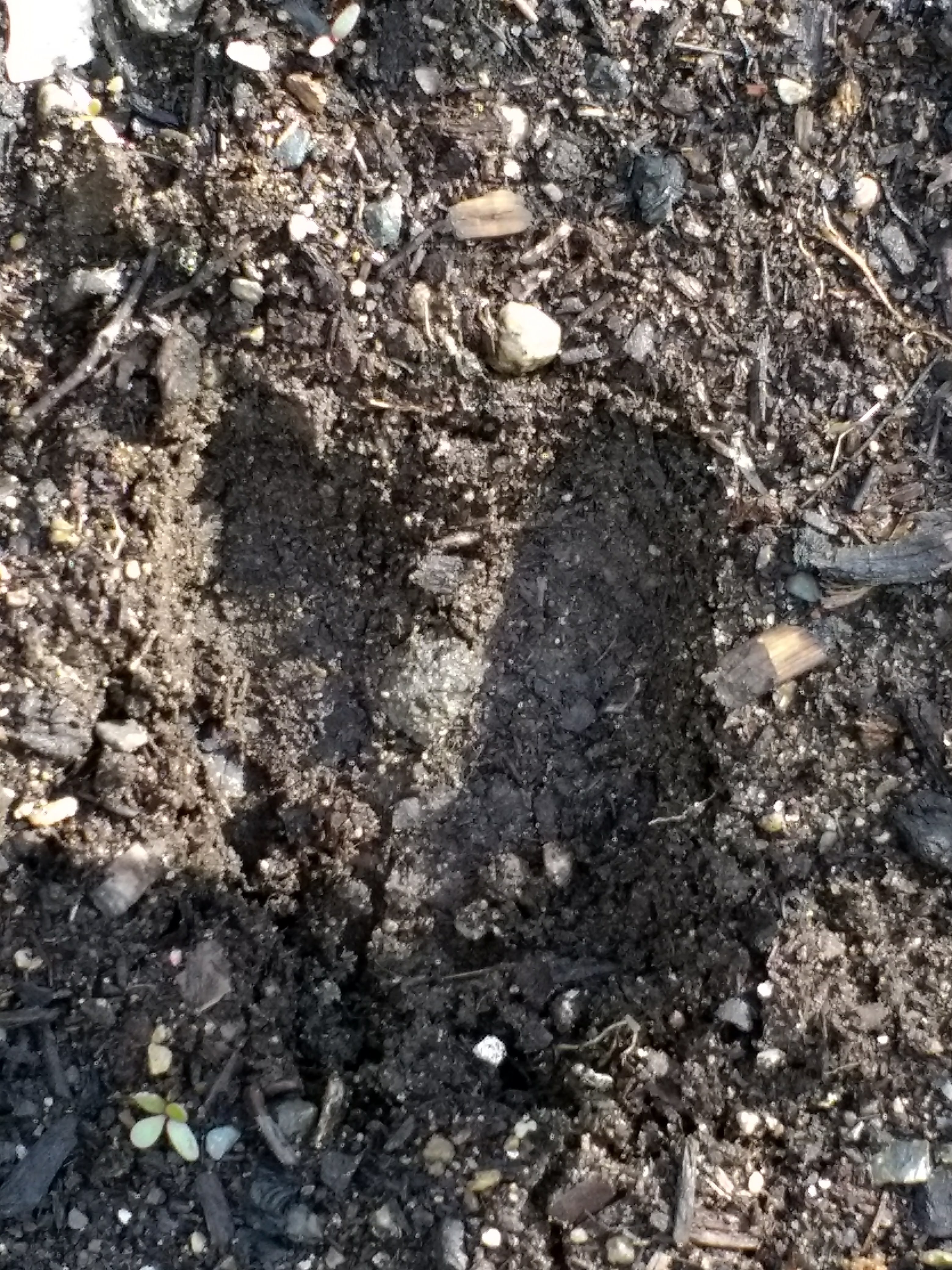 img_20180625_0755176481