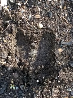 img_20180625_0755176481