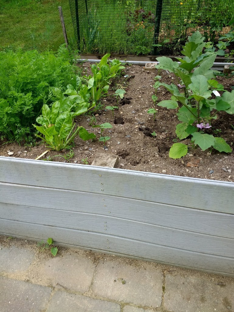 img_20180627_085051505