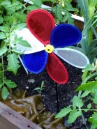 img_20180629_080123739