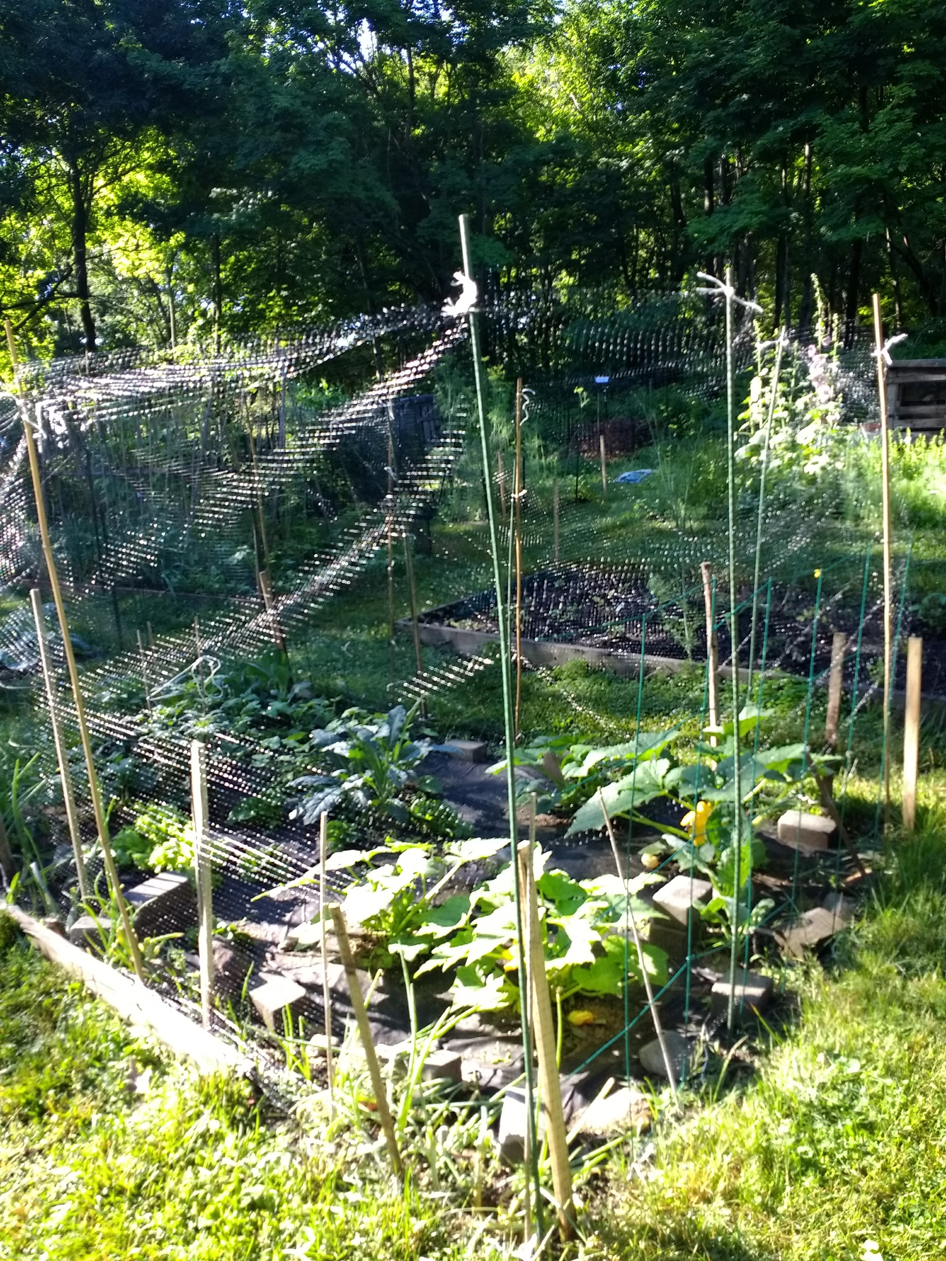 img_20180629_080606321