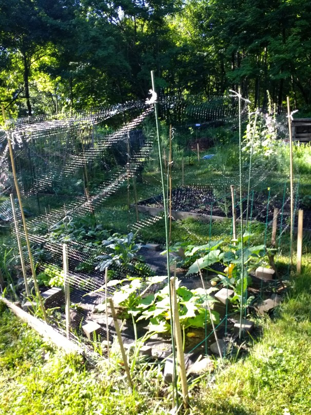 img_20180629_080606321