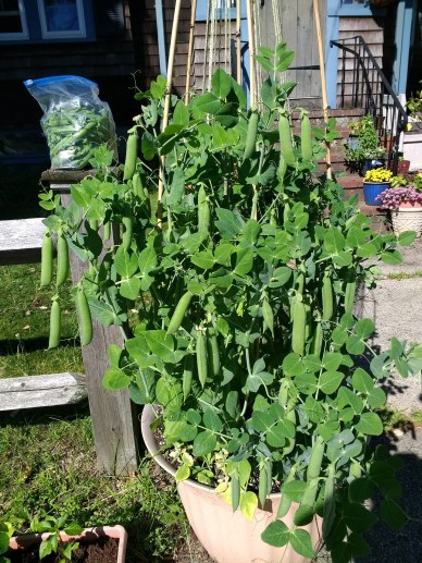 img_20180614_085012740