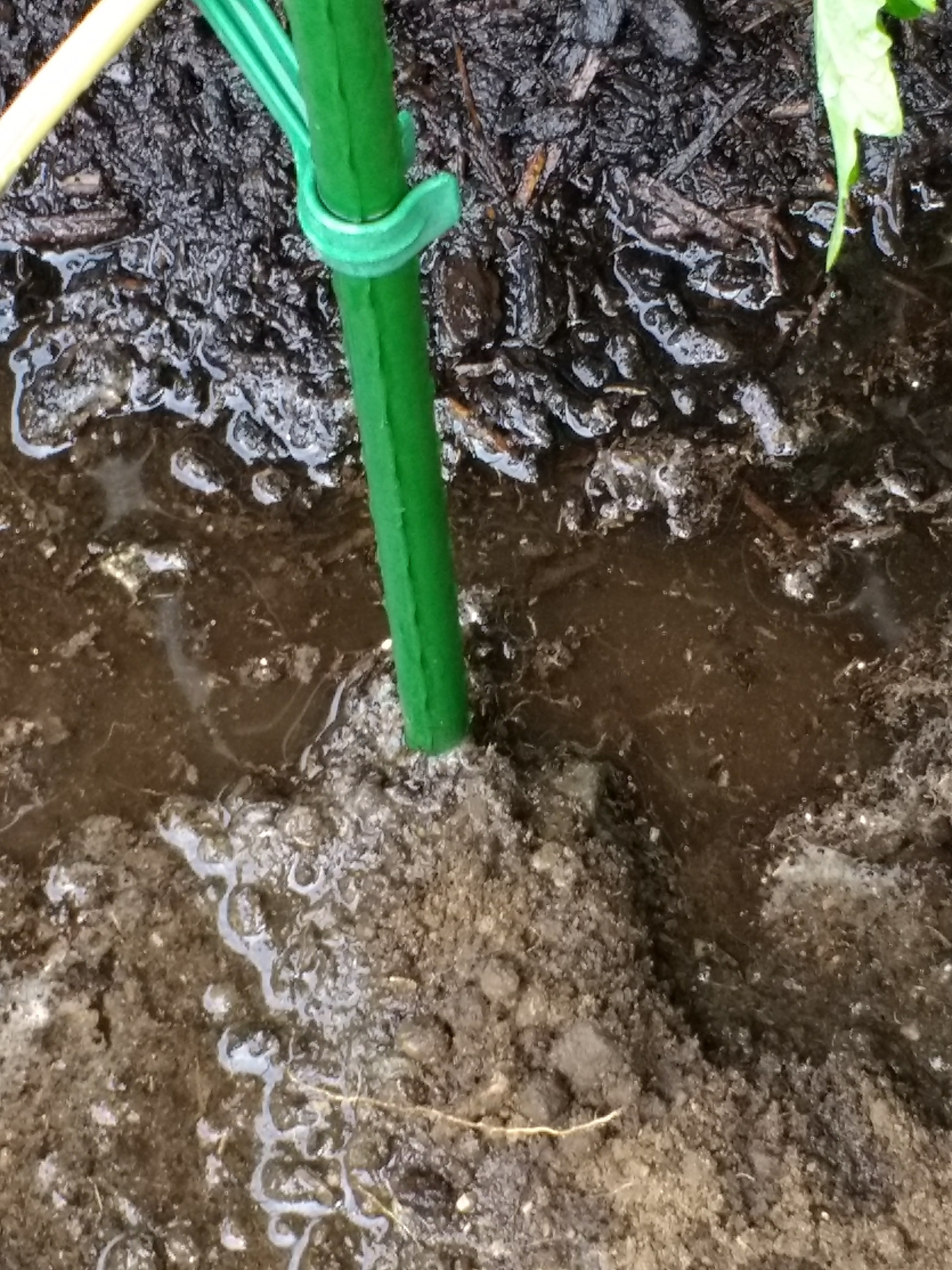 img_20180706_085340473