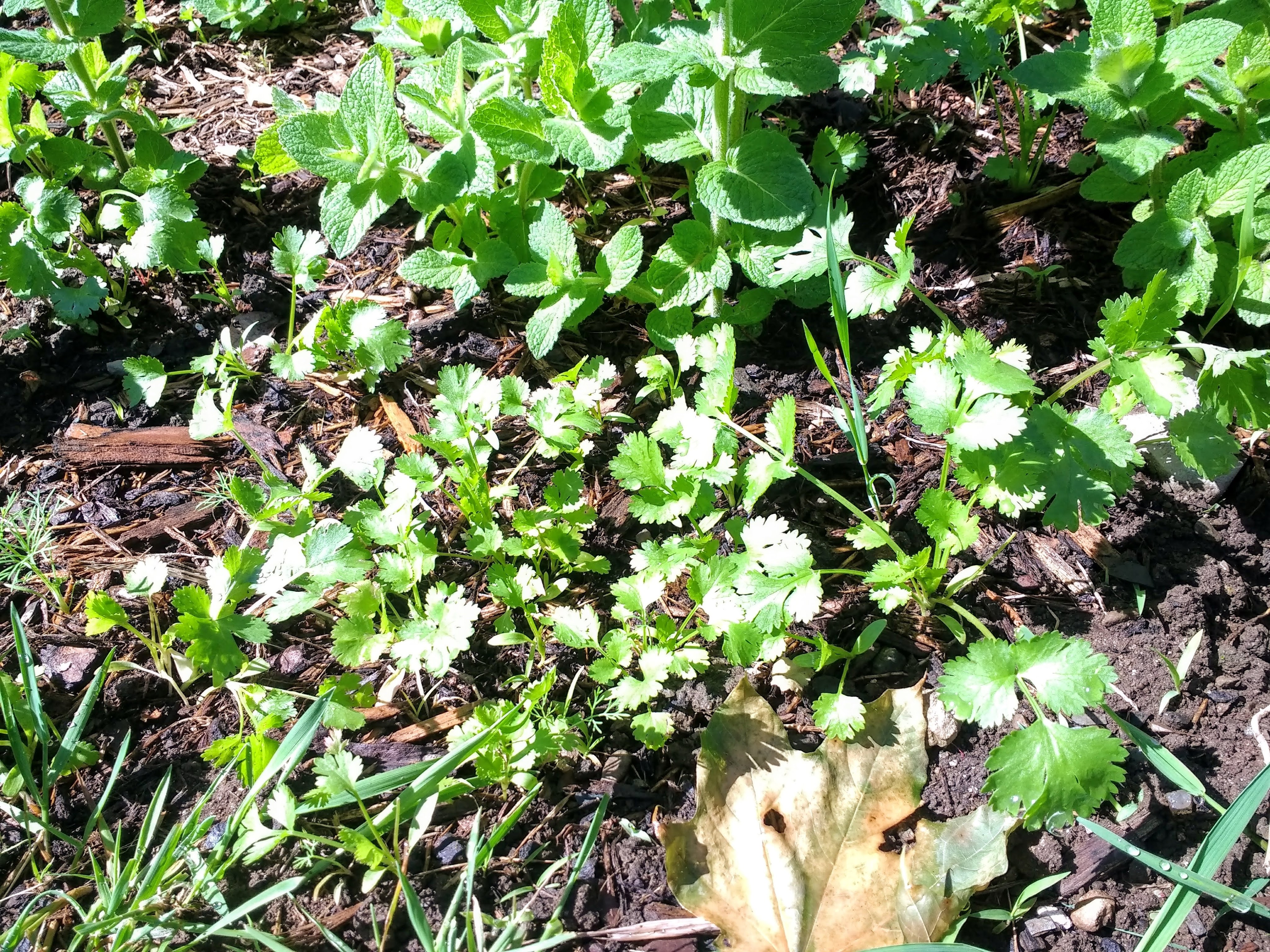 img_20190608_094507449_hdr