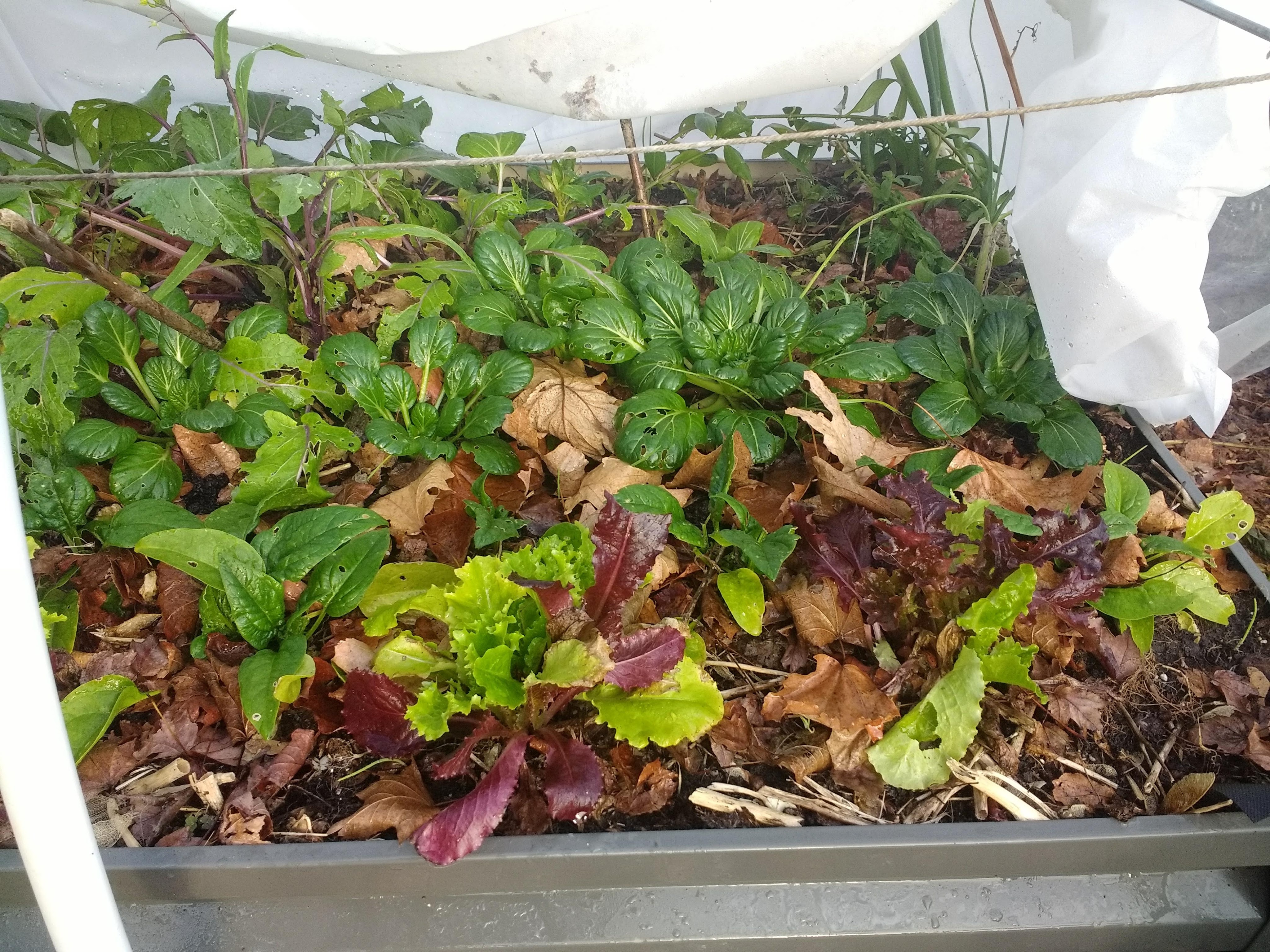 img_20191210_082746432