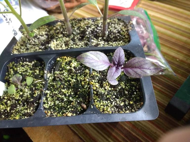 IMG_20200520_090443919